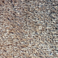 Associated Weavers Vantage Felt Back 100% Polyester 6'2 x 13'2